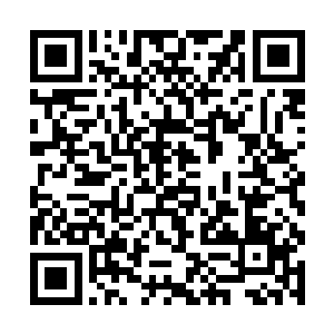 众多士兵在秦武明副统帅的命令下纷纷向着四周散去二维码生成