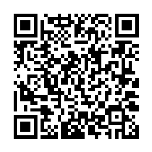 众多底牌全部爆开连寻常六阶神皇都可一战甚至击杀二维码生成