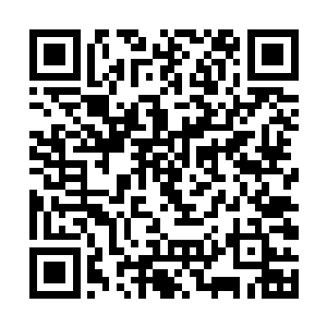 众多的岩浆甚至形成了细微的脉络虚影缠绕在它周围二维码生成