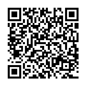 众多虚灵后期强者见沈凡如履平地的踏入了融灵禁制之中二维码生成