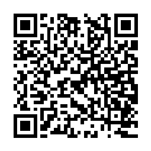 众多观望的武者和丹师们同样不敢相信自己的眼睛二维码生成