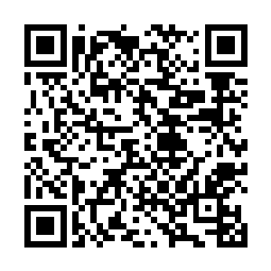 众多读者猜想着苏文的新作品是什么类型的题材的时候二维码生成