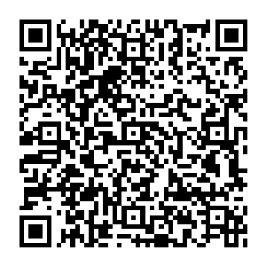 众散修　在这一刻好似蝗虫　铺天盖地而下　各种法宝层出不穷　光芒闪耀虚空　为这惨烈的一幕留下了一抹永恒二维码生成