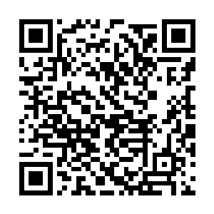 众武者几乎认定了阴阳公子是这次十宗大比的第一二维码生成