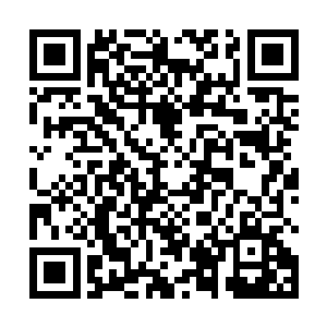 众绿毛死灵见人类武者都被暗冥蛟所吸引而停止了攻击二维码生成