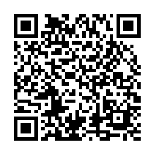 众黑甲以为流年王后实在是无法忍受对于国王的思念之苦了二维码生成