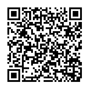 优美的村镇景观也是良好的居住必要条件和统筹人与自然和谐发展的具体体现二维码生成