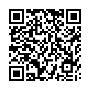 优质杂交稻种的正式限量限村发售后二维码生成