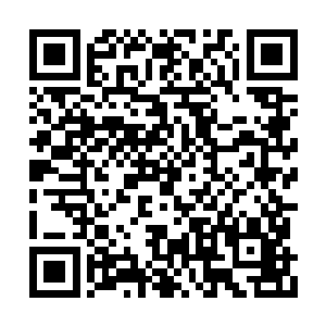 会不会怀疑刺客是敬王为了上位派刺客去刺杀他二维码生成