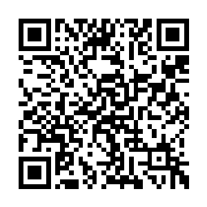 会不会是莫崎姐姐发现了自己觉醒的不对的地方二维码生成