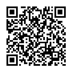 会不会是这古玉仙王的自身根基根本不在这里啊二维码生成