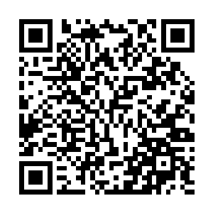 会不会气的直接在上面掩土把自己和钱大哥两人给活埋了二维码生成