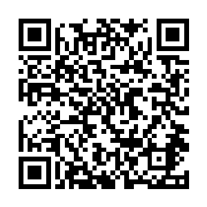 会不会直接提着剑来到潜龙岛上砍了自己的脑袋……二维码生成