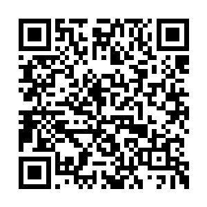 会不会诞生几门连拳王自己都没想到的绝世武功二维码生成