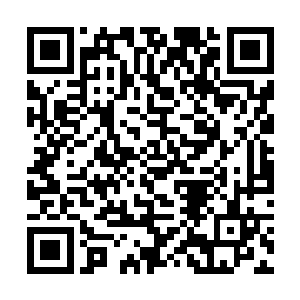 会不会这个外星人在外面金字塔的时候就已经遇害了二维码生成