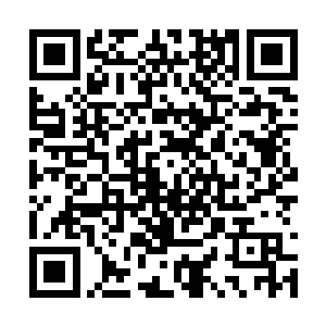 会不由自主的根据自己的感观给高扬起个别的外号二维码生成