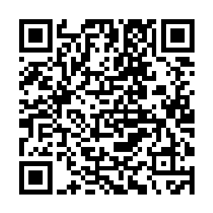 会以为是不知道从埋了几百年的地下挖出的普通棺材二维码生成