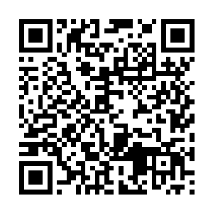 会会长赖小三和助理赛诸葛被一个叫修罗的人所杀二维码生成