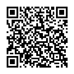 会先去内宫太后娘娘的安和殿查看夏明帝的病情二维码生成