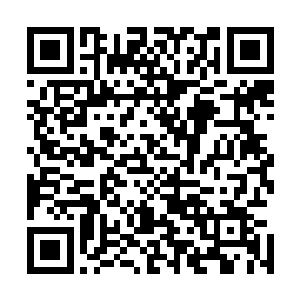 会和那天在重府里捷足先登抢走了万兽无疆的人是同一个吗二维码生成