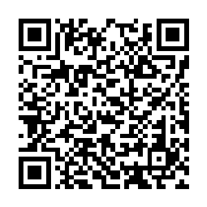 会在市议会提出提案来限制华裔……如果实在不行二维码生成