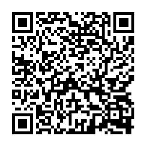 会在接触到并非人类身体或是直接与人类身体接触的衣物之后消散二维码生成