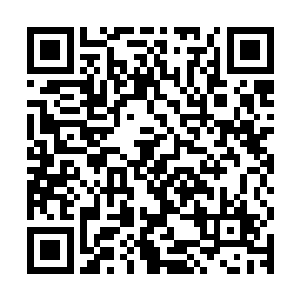 会在自己家乡购买那些当地刻印所以相对廉价的多卷大部头书籍二维码生成