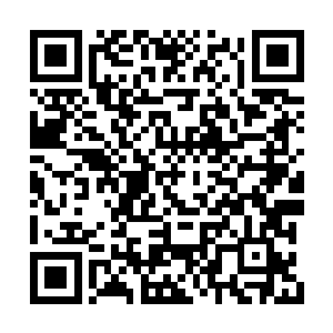 会大幅提升双方的逻辑推演能力和思维活跃程度二维码生成