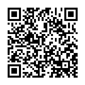 会客厅一瞬间仿若静得只有此起彼伏的粗重呼吸声二维码生成