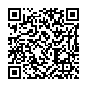 会将每个人的曾经最值得纪念的场面全部都回放出来二维码生成