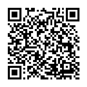 会成为未来几年明湖文化在影视这一块儿的重头之一二维码生成