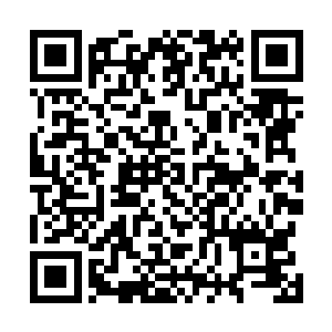 会所五层的大厅里感觉是放眼望去全是人头全的脑袋瓜子二维码生成