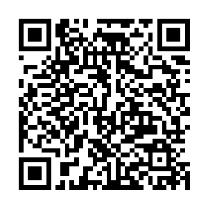会把家族的血脉遗传看得如此重要的原因――因为先祖血脉二维码生成