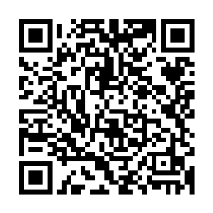 会有一些诸如白道鸿这等境界的神变期弟子偶尔会选择观看一下二维码生成