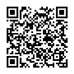 会有一种在大灾变之前繁华都市的车道上行驶着的感觉二维码生成