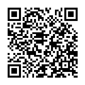 会有专门的机甲匠师为这些学生现场改装现有机甲二维码生成