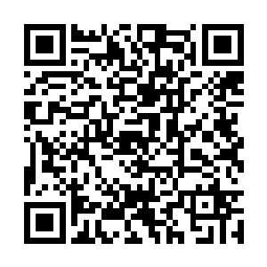 会有他们在表面看不到的变化让他们的行动不顺利二维码生成