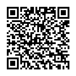 会有很多人就这样一家学校一家学校的跑着考过去二维码生成