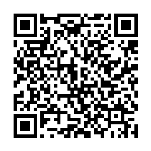 会自主地被五色宝塔投放到第四层的一个破碎空间中二维码生成