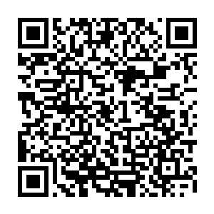 会让族长令他们三个炼气期第十一层修为的人拿出全部的实力去合战对方一人二维码生成