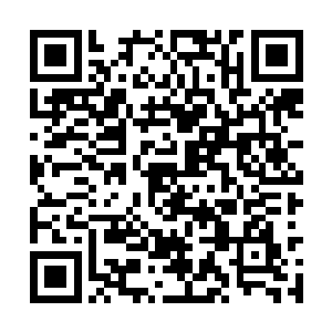 会议室里的几个国安局探员全部警惕的看向朴心妍二维码生成