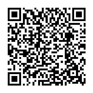 会选择狗仔队作为职业的人性格多少有几分偏执――如果你不能钻牛角尖二维码生成
