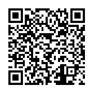 伞先生留在这里……冒着被发现的危险留在这里……二维码生成