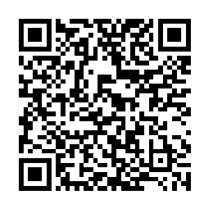 伟岸的身躯引领着三个龙族子孙穿过一片茂密的树林二维码生成
