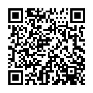 传了一道神念给已经出关的马流二元帅和崩芭二将二维码生成
