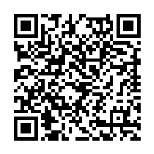 传出去外人还以为我太元圣境的弟子不懂的谦虚呢二维码生成