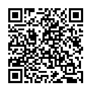 传口信之类的小任务可以随便发给任何一个你想给的玩家二维码生成