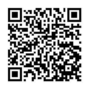 传告会派出调查小队来调查这几个月来发生在鳄蛟岛上的事情二维码生成