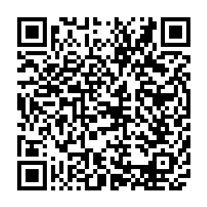 传奇巫师对杰西卡使用了传奇定身术和传奇误导术……然而却并没有任何效果二维码生成