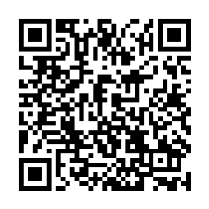 传奇强者又怎么可能心甘情愿为一个三阶的弱者打工二维码生成